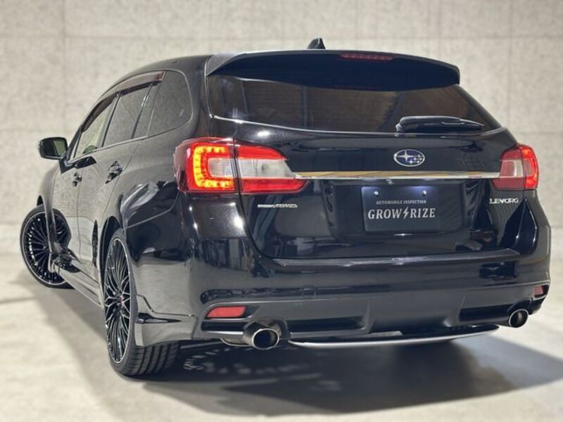 LEVORG