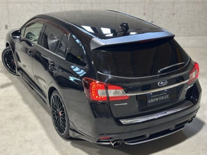 LEVORG