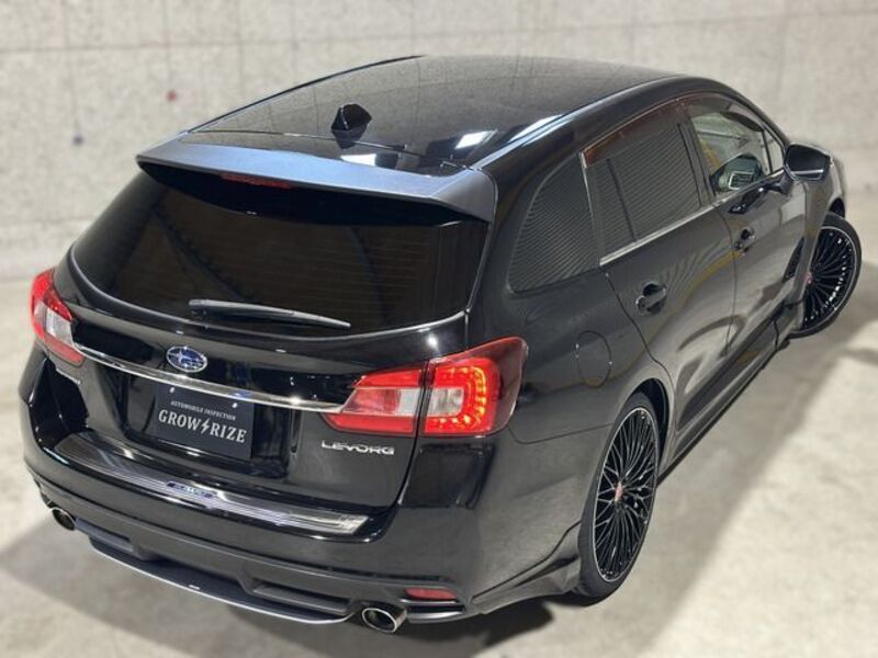 LEVORG