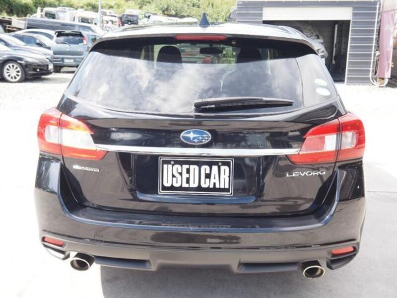 LEVORG