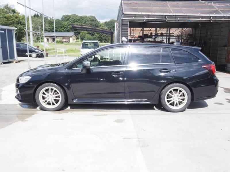 LEVORG