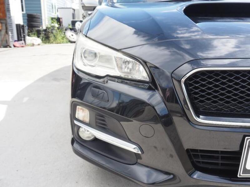 LEVORG