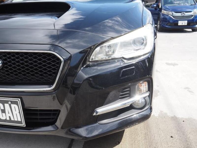 LEVORG