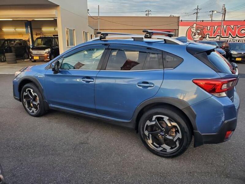 XV
