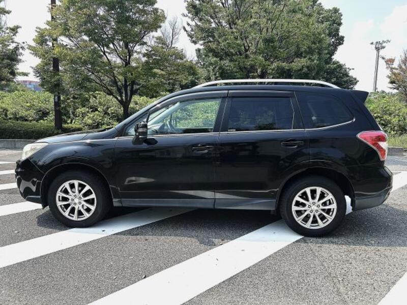 FORESTER