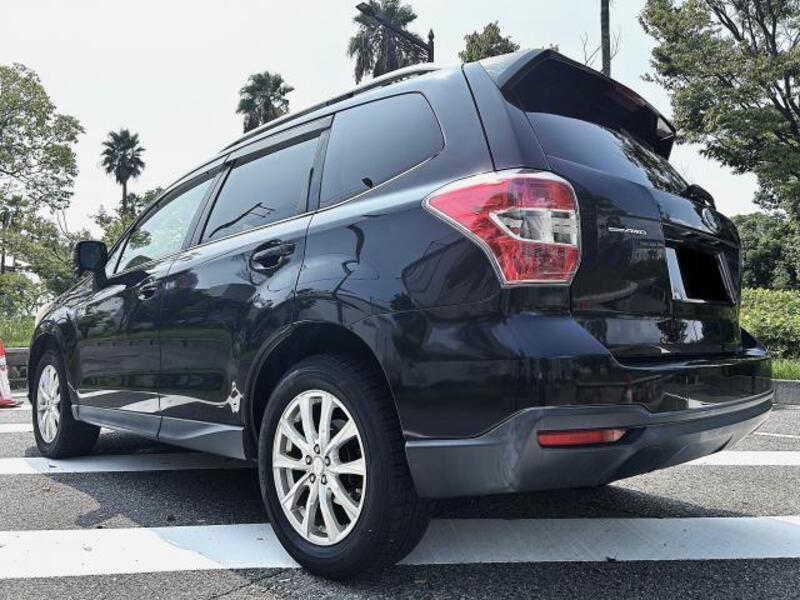 FORESTER
