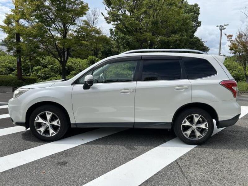 FORESTER