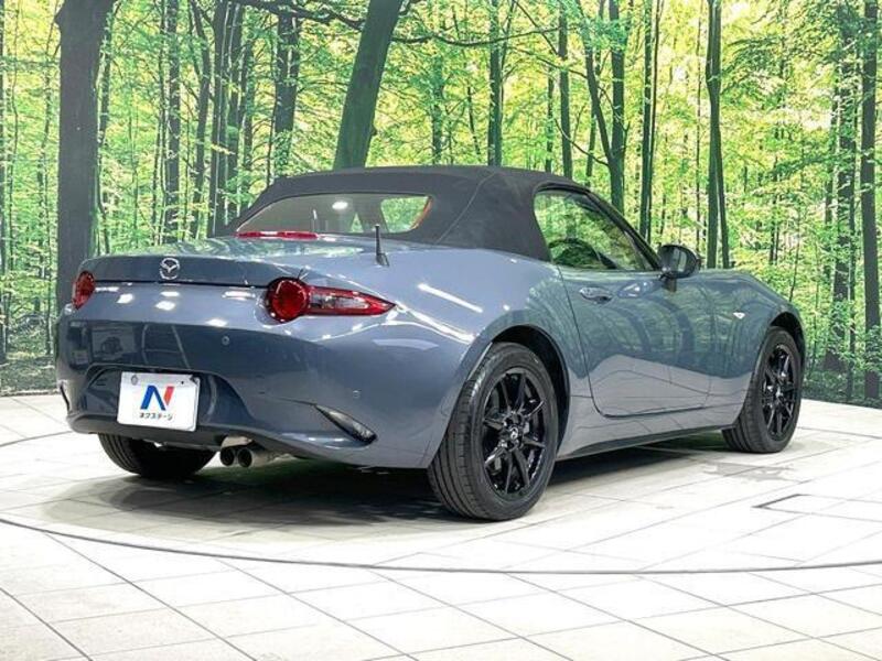 ROADSTER