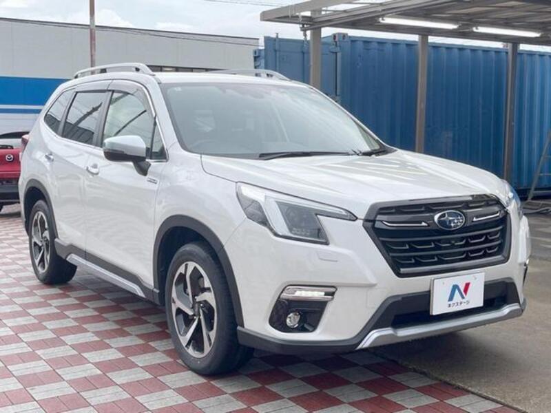 FORESTER
