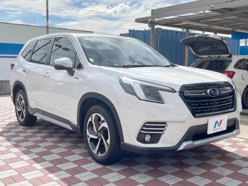 FORESTER