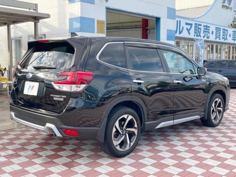FORESTER