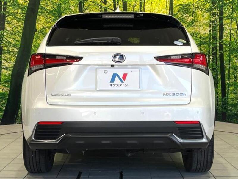 NX