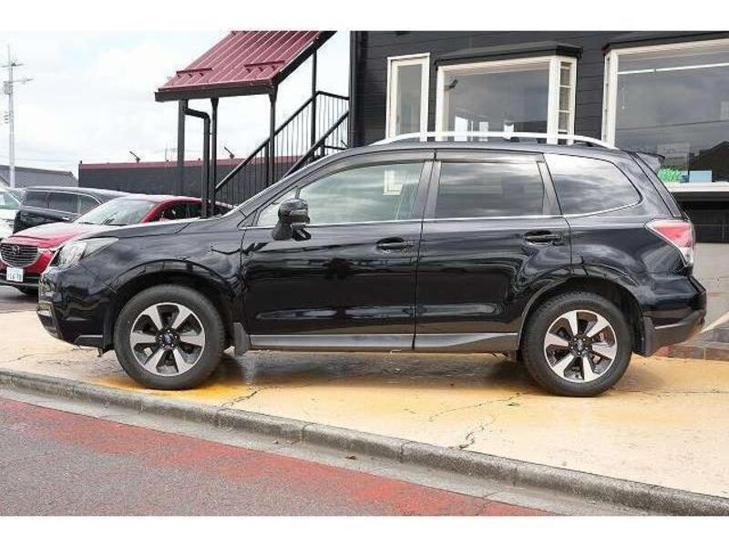 FORESTER
