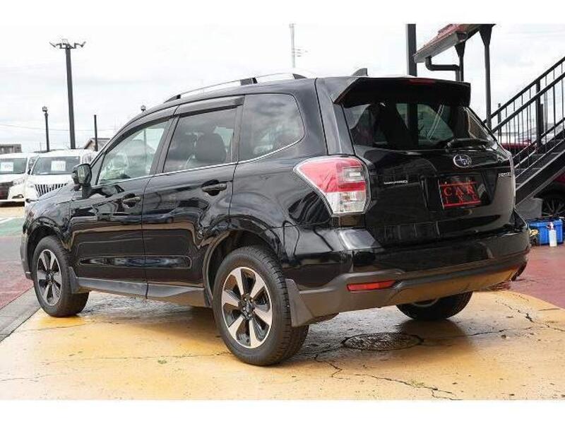 FORESTER