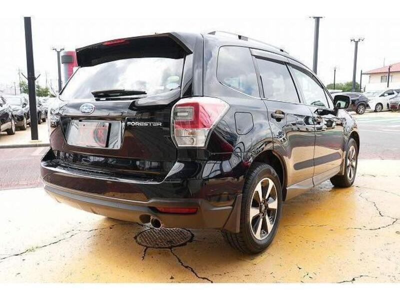 FORESTER