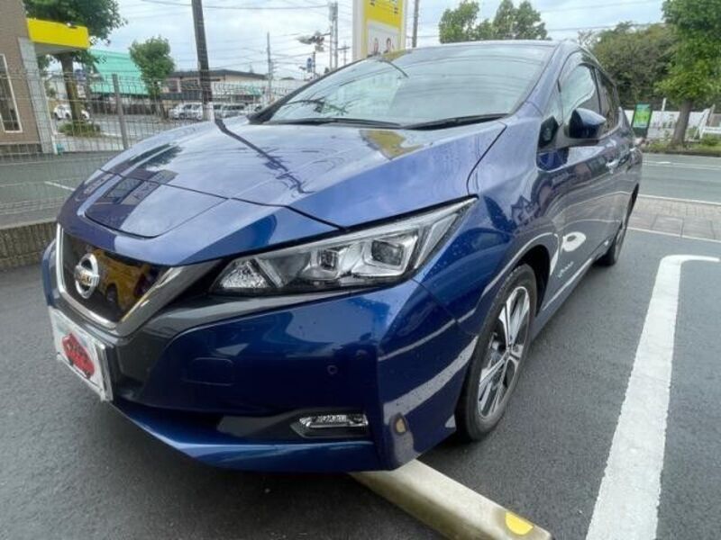 LEAF-0