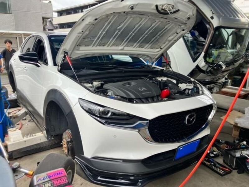 CX-30
