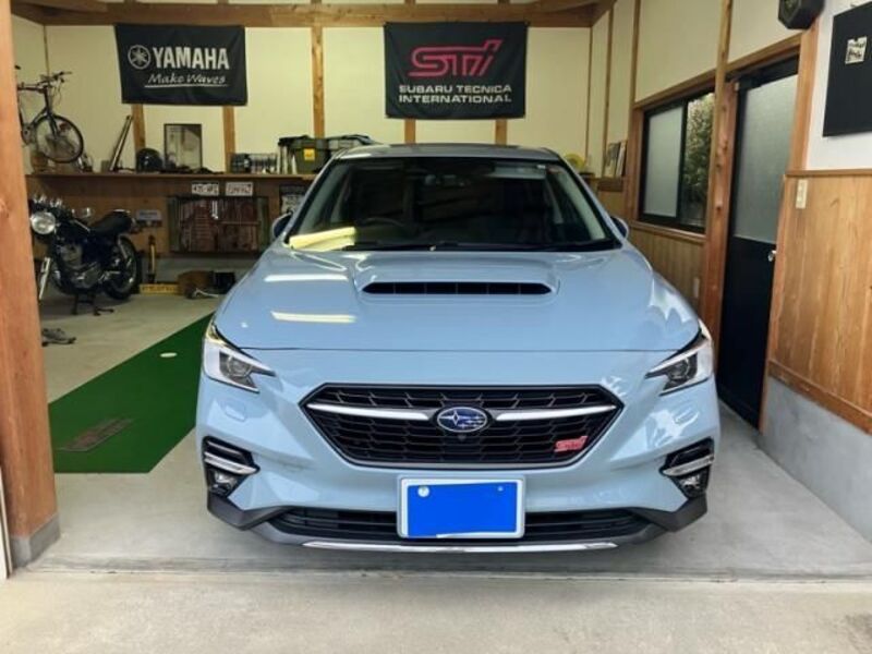 LEVORG-0