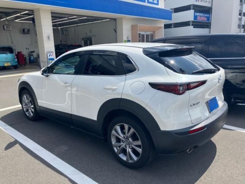 CX-30
