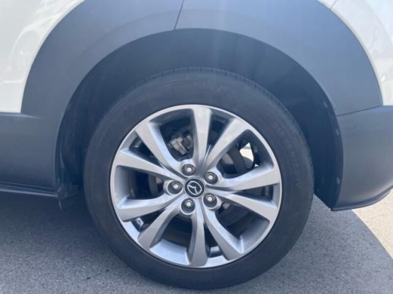 CX-30