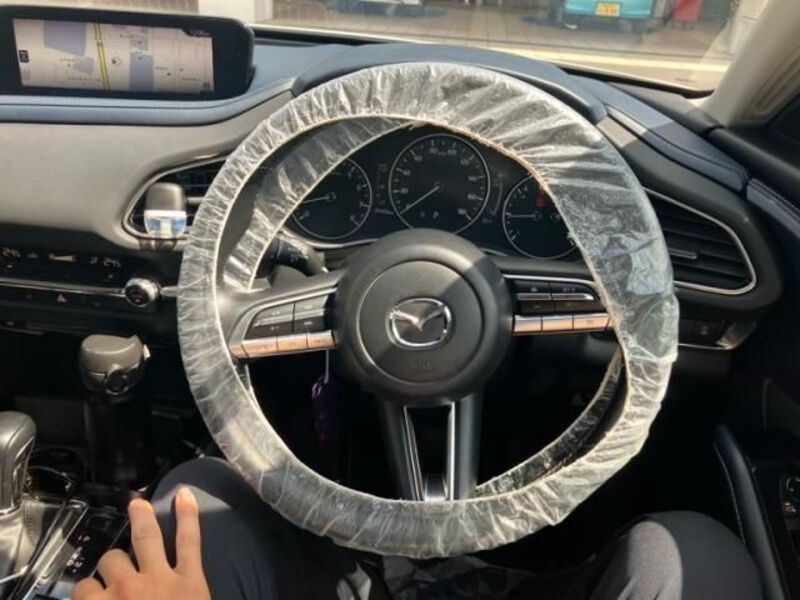 CX-30