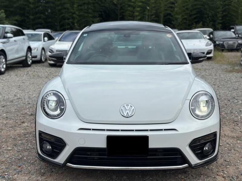 THE BEETLE
