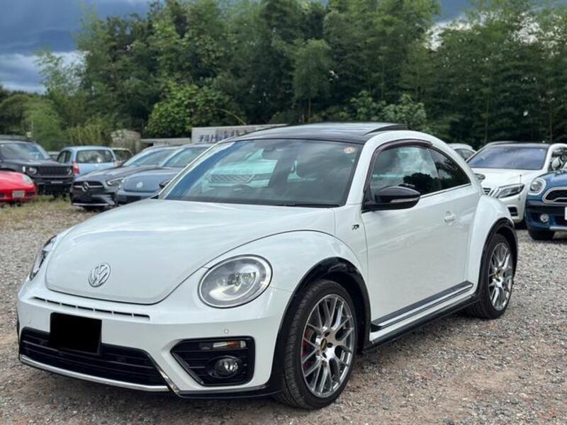 THE BEETLE