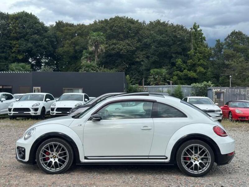 THE BEETLE