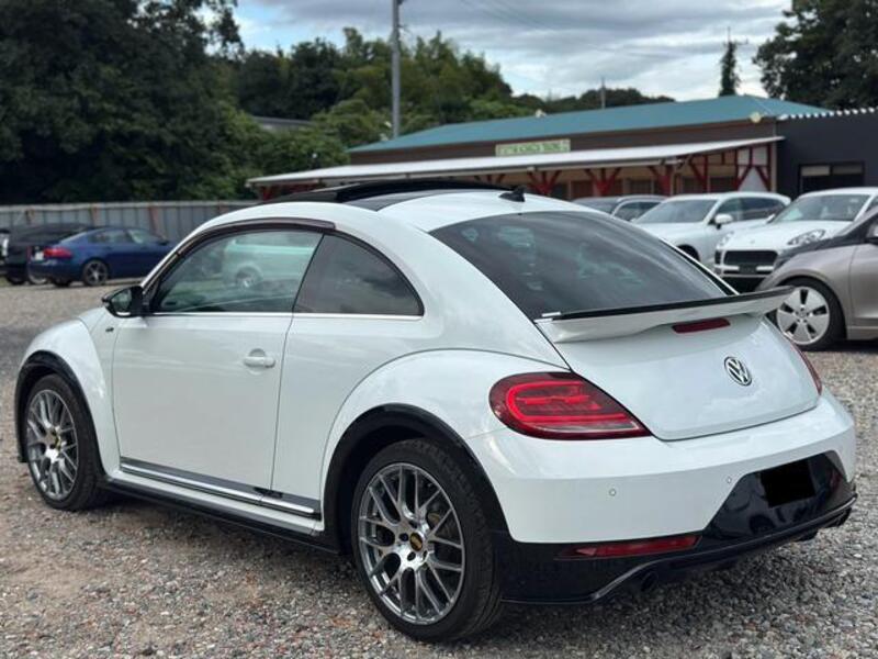 THE BEETLE
