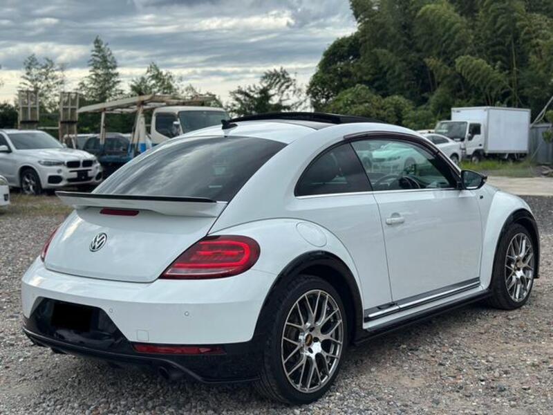 THE BEETLE