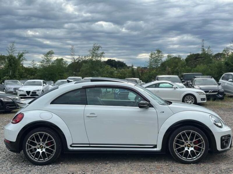THE BEETLE
