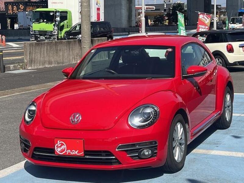 THE BEETLE