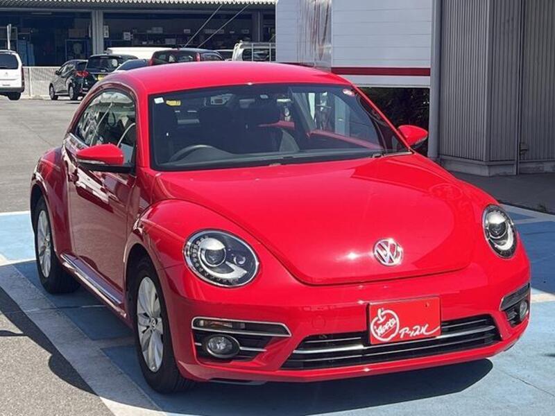THE BEETLE