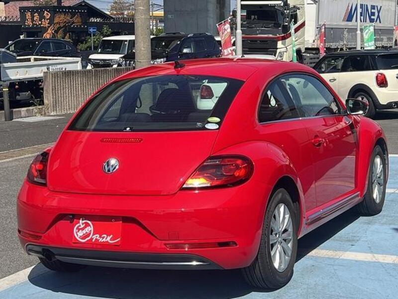 THE BEETLE