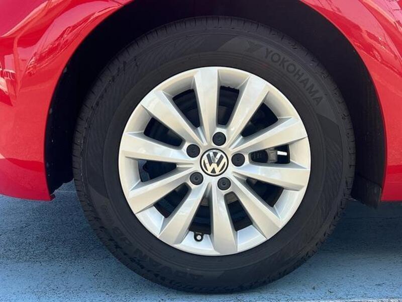 THE BEETLE