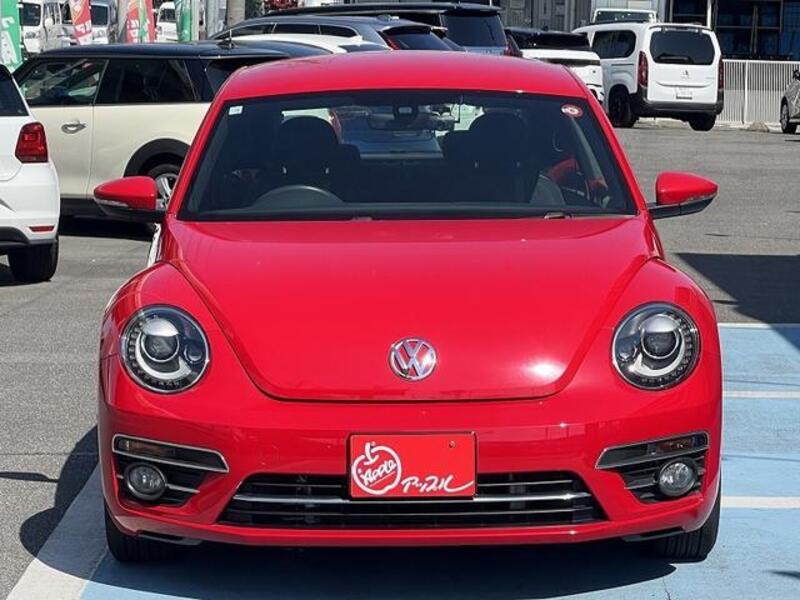 THE BEETLE