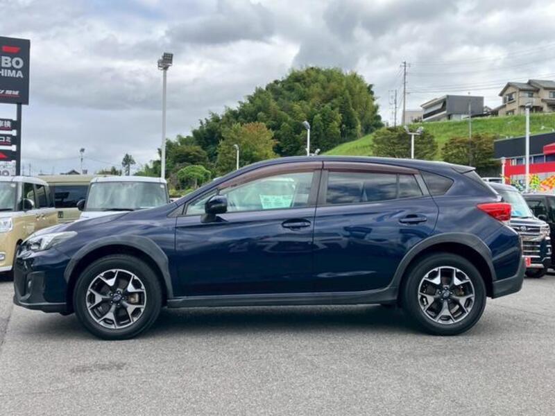 XV