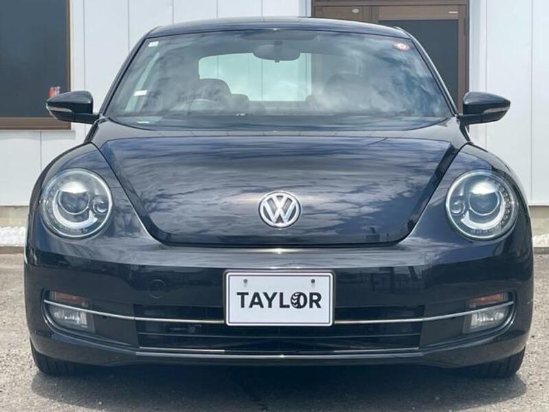THE BEETLE