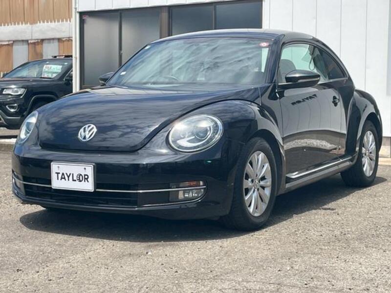 THE BEETLE