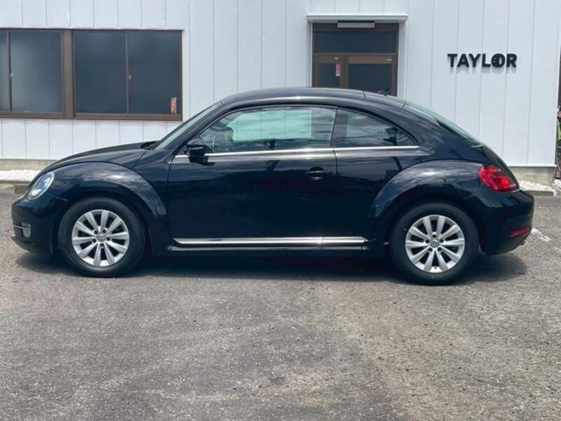 THE BEETLE