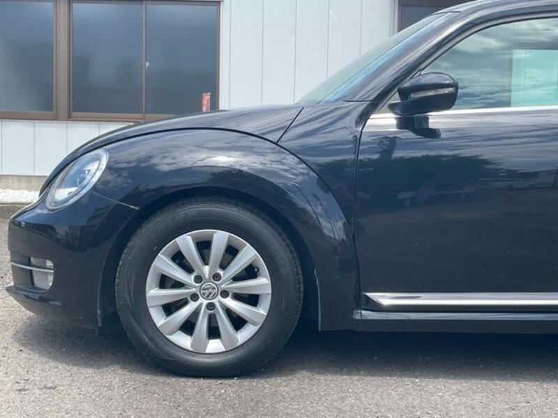 THE BEETLE