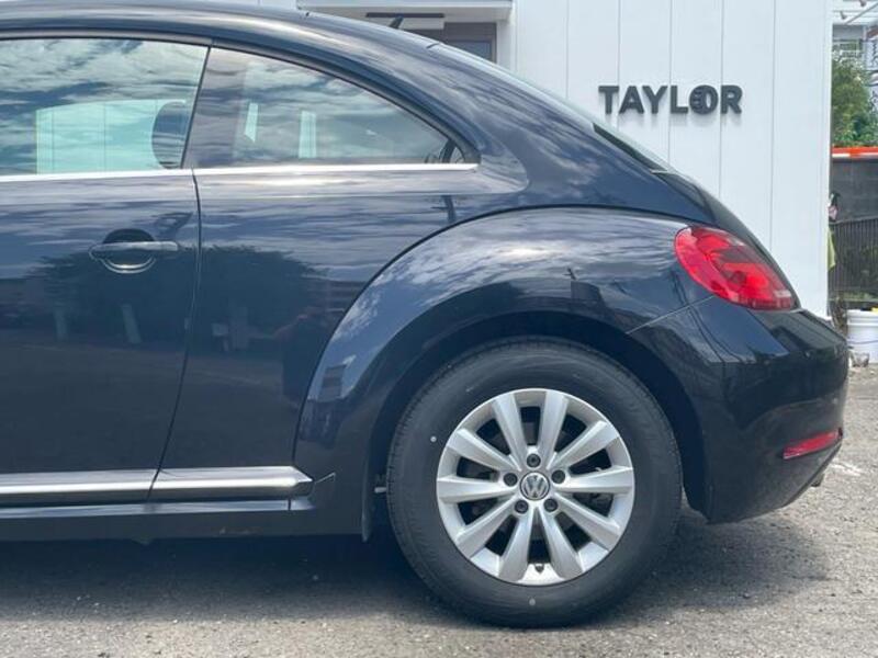 THE BEETLE