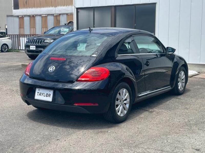 THE BEETLE