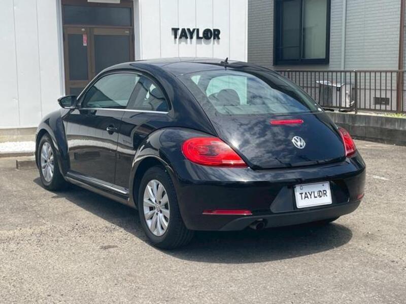 THE BEETLE