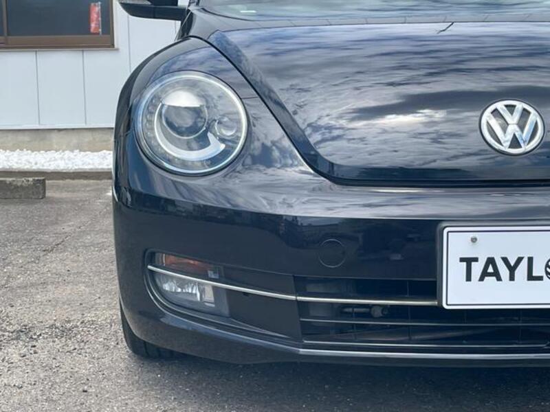THE BEETLE