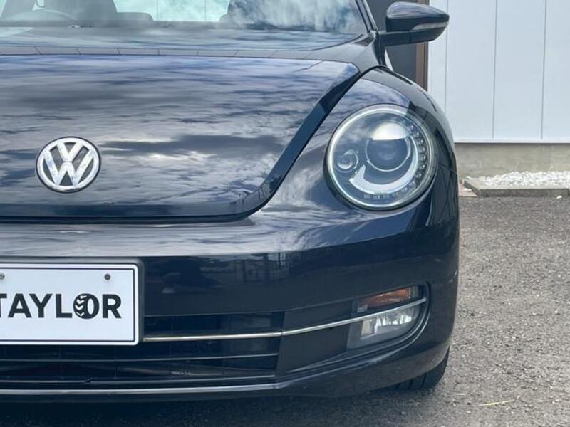 THE BEETLE