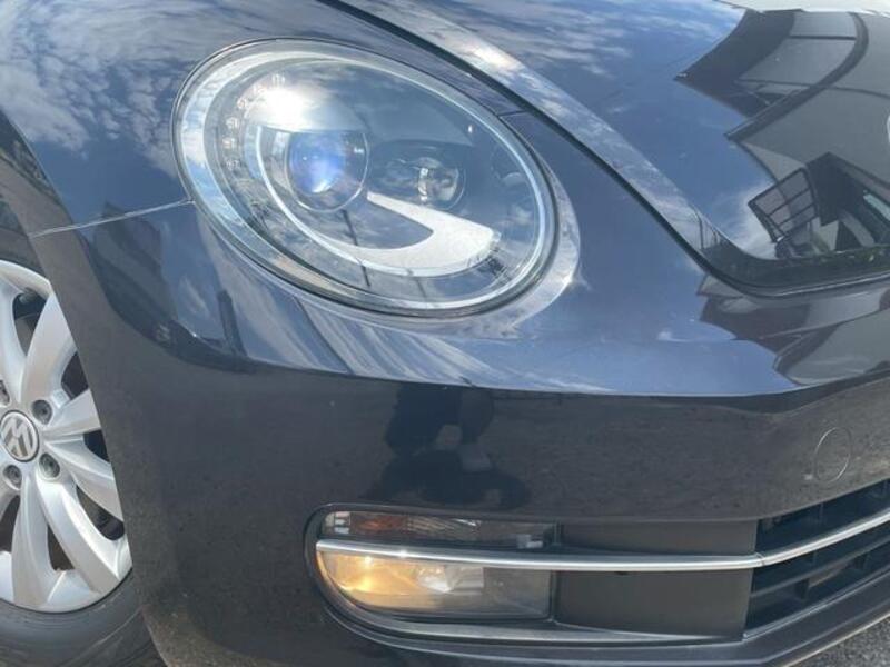 THE BEETLE