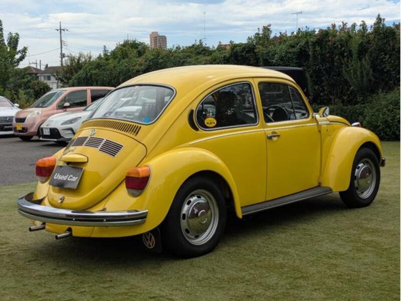 BEETLE
