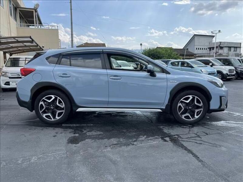 XV