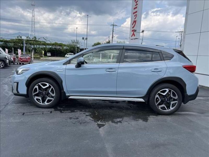 XV